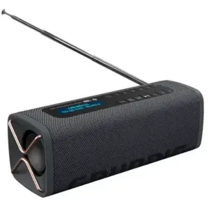 Enceinte GRUNDIG GBTBANDBLACK pas cher