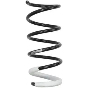 SACHS Chassisveer pas cher