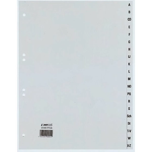 Rexel 25241281 intercalaire gris pas cher