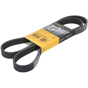 Multiriem 6PK1441EXTRA Contitech pas cher