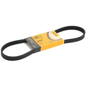 ContiTech Multiriem pas cher