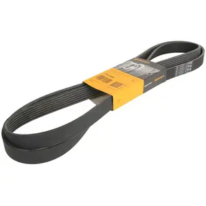 ContiTech Multiriem pas cher