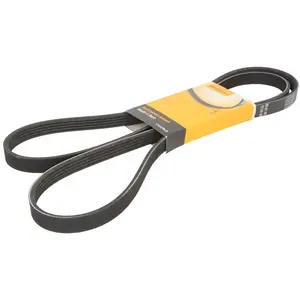 ContiTech Multiriem pas cher