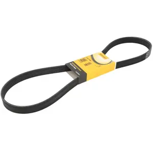 ContiTech Multiriem pas cher