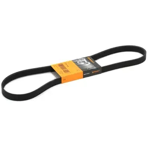 ContiTech Multiriem pas cher
