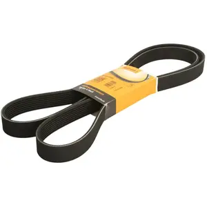 ContiTech Multiriem pas cher