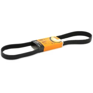 ContiTech Multiriem pas cher