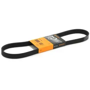 ContiTech Multiriem pas cher