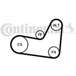 ContiTech Multiriem set pas cher