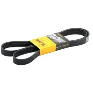 ContiTech Multiriem pas cher