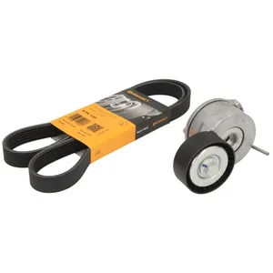 Continental 6PK1244K1 Kit courroie accessoiresVendu paroscaro