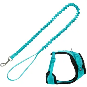 Harnais en Y Trixie en maille avec laisse extensible, turquoise - pour... pas cher