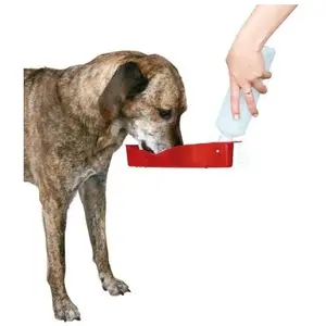 TRIXIE Distributeur d'eau/Gourde pour Chien 250 ML pas cher