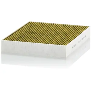 Interieurfilter FP28009 Mann pas cher