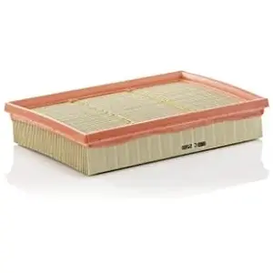 MANN-FILTER C 2589 Filtre à air - VÉHICULE DE TOURISME + UTILITAIRES pas cher