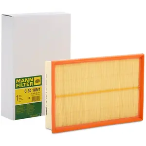 MANN-FILTER C 30 189/1 Filtre à air - VÉHICULE DE TOURISME + UTILITAIRES pas cher