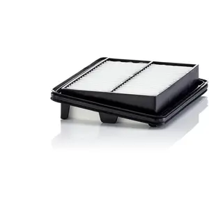Luchtfilter C22060 Mann pas cher