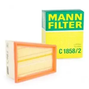 MANN-FILTER MANN FILTER Filtre à air C1858/2 pas cher