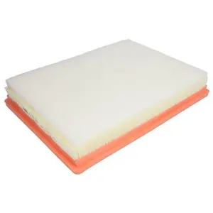 MANN-FILTER C 36 172 Filtre à air - VÉHICULE DE TOURISME + UTILITAIRES pas cher