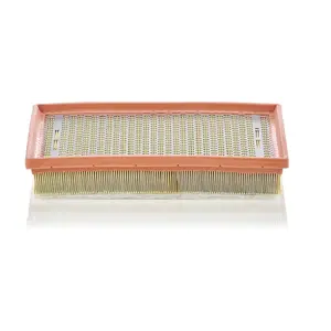 MANN-FILTER C 30 170/1 Filtre à air - VÉHICULE DE TOURISME + UTILITAIRES pas cher