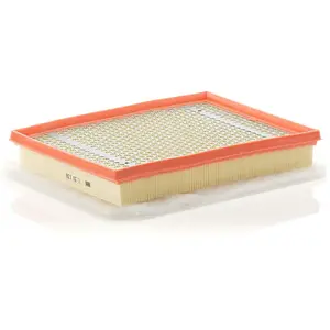 Comparateur de prix : MANN FILTER Filtre à air C30138