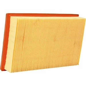 Luchtfilter C2580 Mann pas cher