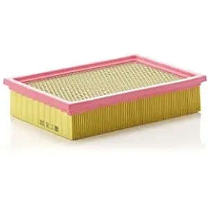 MANN-FILTER C 26 100 Filtre à air - VÉHICULE DE TOURISME + UTILITAIRES pas cher