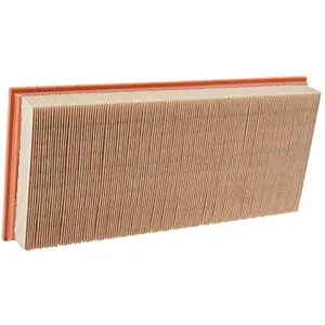 MANN-FILTER C 38 163/1 Filtre à air - VÉHICULE DE TOURISME + UTILITAIRES pas cher