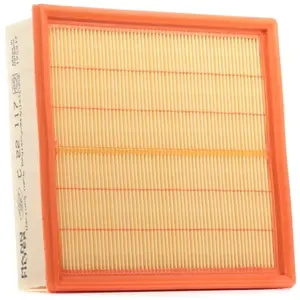 MANN-FILTER C 22 117 Filtre à air - VÉHICULE DE TOURISME + UTILITAIRES