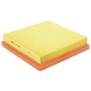 MANN-FILTER C 25 153 Filtre à air - VÉHICULE DE TOURISME + UTILITAIRES pas cher