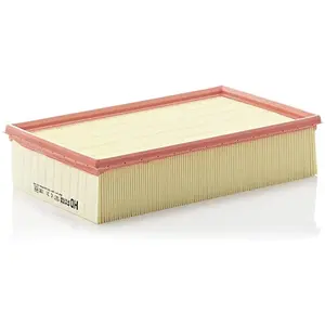 MANN-FILTER C 31 195 Filtre à air - VÉHICULE DE TOURISME + UTILITAIRES pas cher