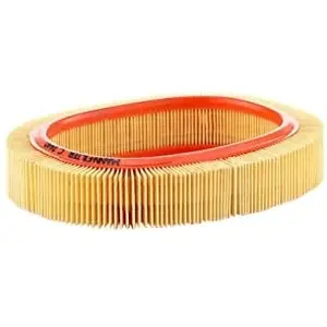 MANN-FILTER C 2440 Filtre à air - VÉHICULE DE TOURISME + UTILITAIRES pas cher