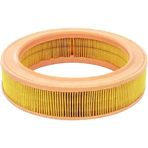 MANN-FILTER C 2555/2 Filtre à air - VÉHICULE DE TOURISME + UTILITAIRES pas cher