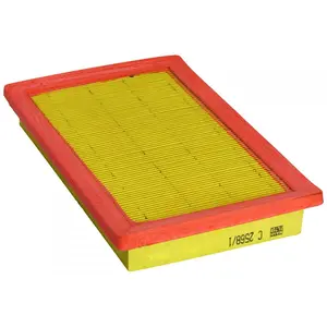 MANN-FILTER C 2568/1 Filtre à air - VÉHICULE DE TOURISME + UTILITAIRES pas cher