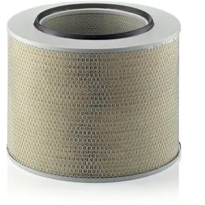 MANN-FILTER Filtre à air (Ref: C 42 1729) pas cher