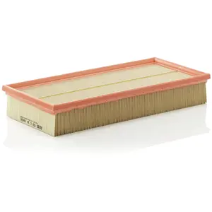 MANN-FILTER C 36 168 Filtre à air - VÉHICULE DE TOURISME + UTILITAIRES pas cher