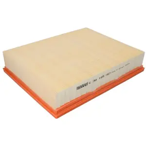MANN-FILTER C 30 195 Filtre à air - VÉHICULE DE TOURISME + UTILITAIRES pas cher