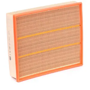 MANN-FILTER MANN Filtre à air c32338 pas cher