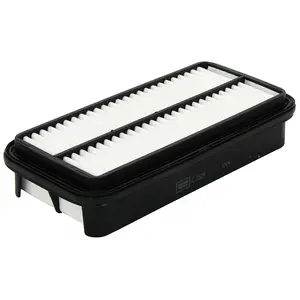 MANN-FILTER C 2524 Filtre à air - VÉHICULE DE TOURISME + UTILITAIRES pas cher
