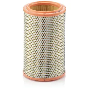 MANN-FILTER C 1387 Filtre à air - VÉHICULE DE TOURISME + UTILITAIRES pas cher