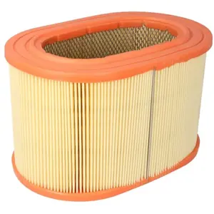 MANN-FILTER C 24 135 Filtre à air - VÉHICULE DE TOURISME + UTILITAIRES pas cher