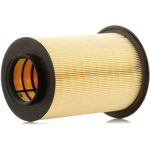 MANN-FILTER C 16 134/2 Filtre à air - VÉHICULE DE TOURISME + UTILITAIRES pas cher