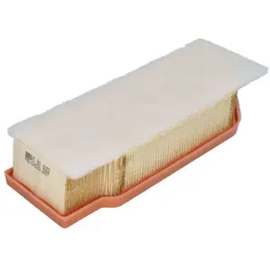 Luchtfilter C31033 Mann pas cher