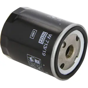 MANN-FILTER W 713/19 Filtre à huile - VÉHICULE DE TOURISME + UTILITAIRES pas cher