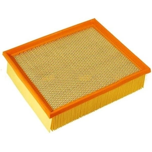 Luchtfilter C301251 Mann pas cher