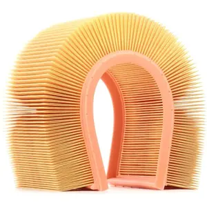 MANN-FILTER C 37 132 Filtre à air - VÉHICULE DE TOURISME + UTILITAIRES pas cher