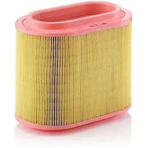 MANN-FILTER C 24 196 Filtre à air - VÉHICULE DE TOURISME + UTILITAIRES pas cher