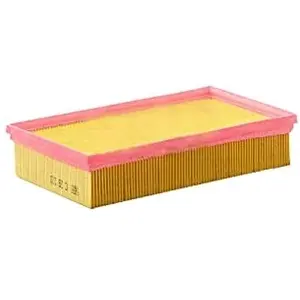 MANN-FILTER C 29 121 Filtre à air - VÉHICULE DE TOURISME + UTILITAIRES pas cher