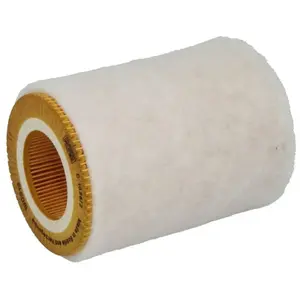 MANN-FILTER C 1036/2 Filtre à air - VÉHICULE DE TOURISME + UTILITAIRES pas cher