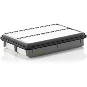MANN-FILTER C 2632/1 Filtre à air - VÉHICULE DE TOURISME + UTILITAIRES pas cher